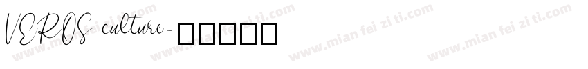 VEROS culture字体转换